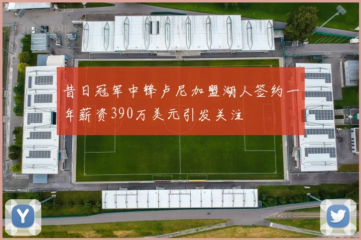 昔日冠军中锋卢尼加盟湖人签约一年薪资390万美元引发关注